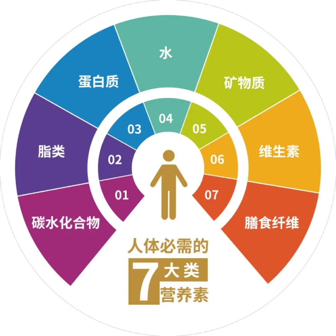 人体必须的七大营养素